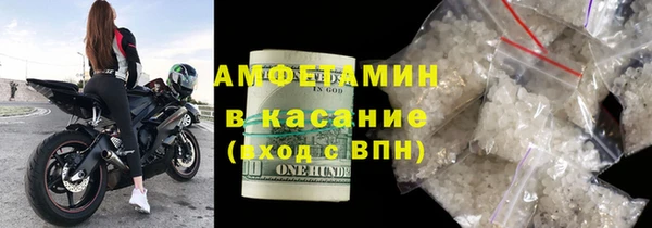 гашик Алексин