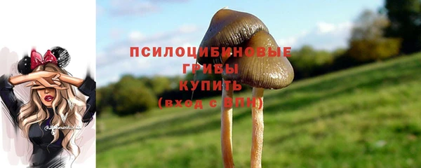 гашик Алексин