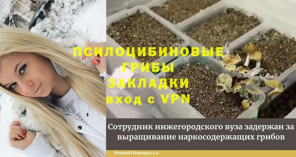 гашик Алексин