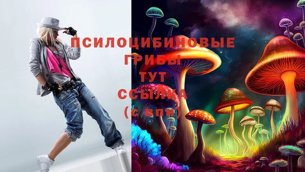 индика Алзамай
