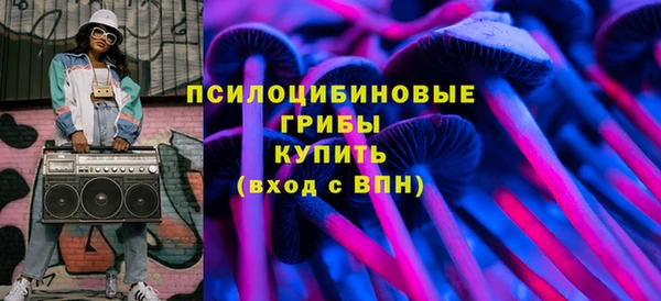 гашик Алексин