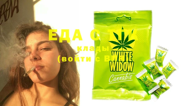 индика Алзамай