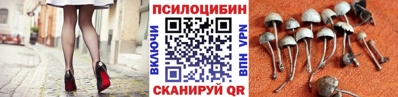 Галлюциногенные грибы GOLDEN TEACHER  Купить закладки  Борзя 